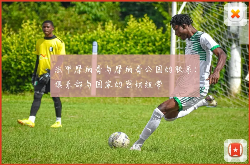 法甲摩纳哥与摩纳哥公国的联系：俱乐部与国家的密切纽带