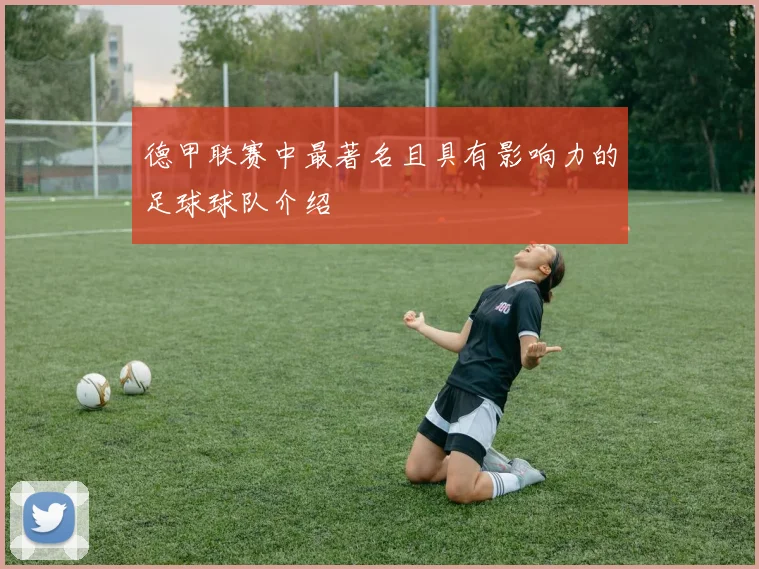 德甲联赛中最著名且具有影响力的足球球队介绍