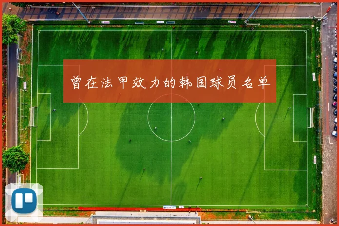 曾在法甲效力的韩国球员名单